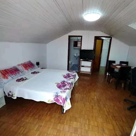 Studio Apartment Zlata Medulin アパート *