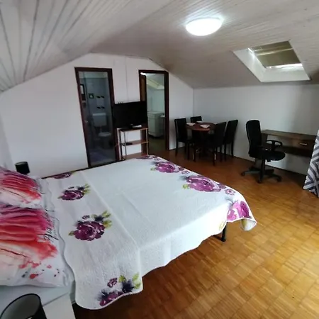Studio Apartment Zlata Medulin * メドゥリン
